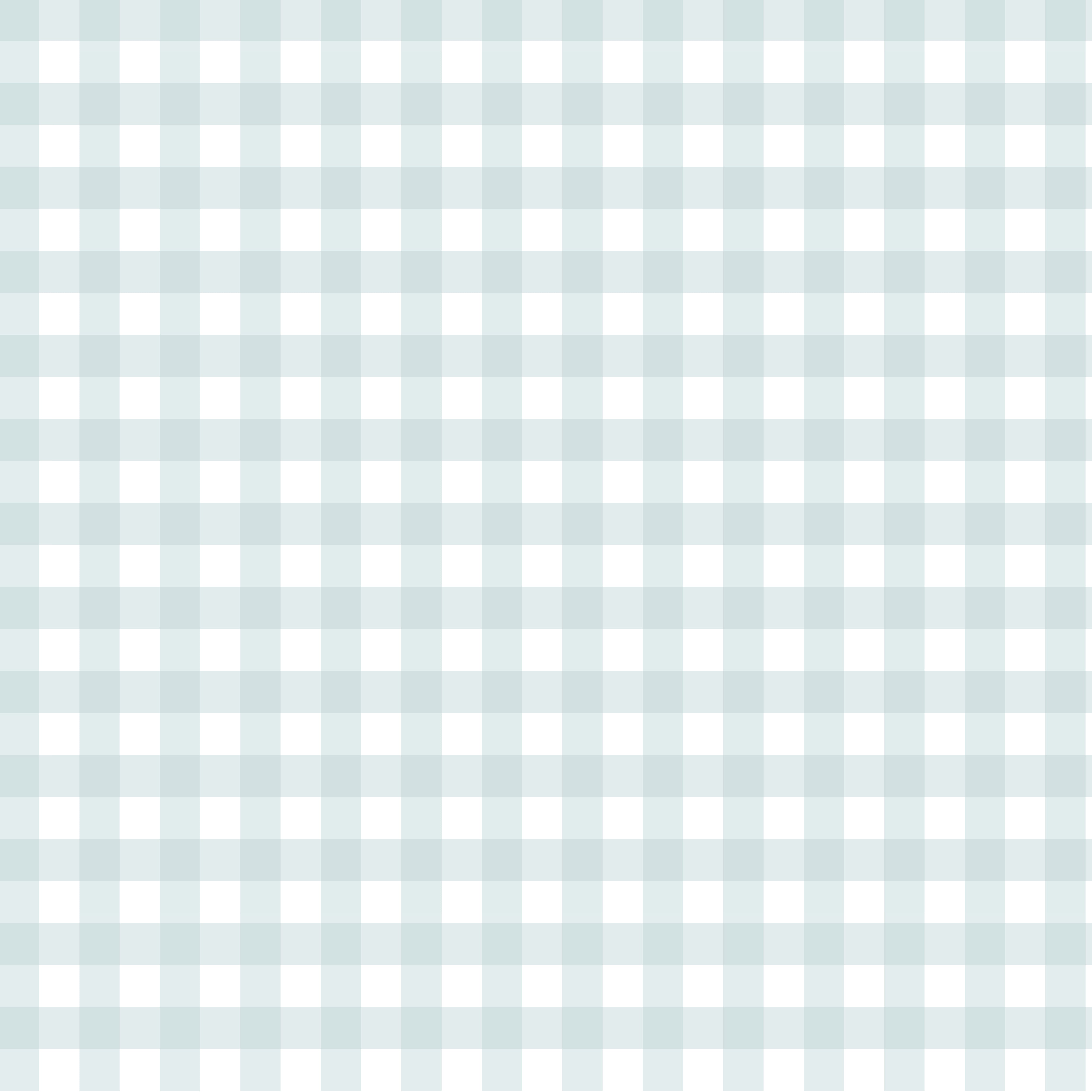 Gentle Gingham