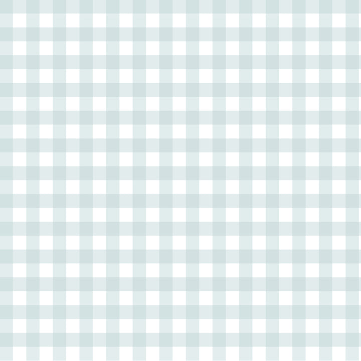 Gentle Gingham