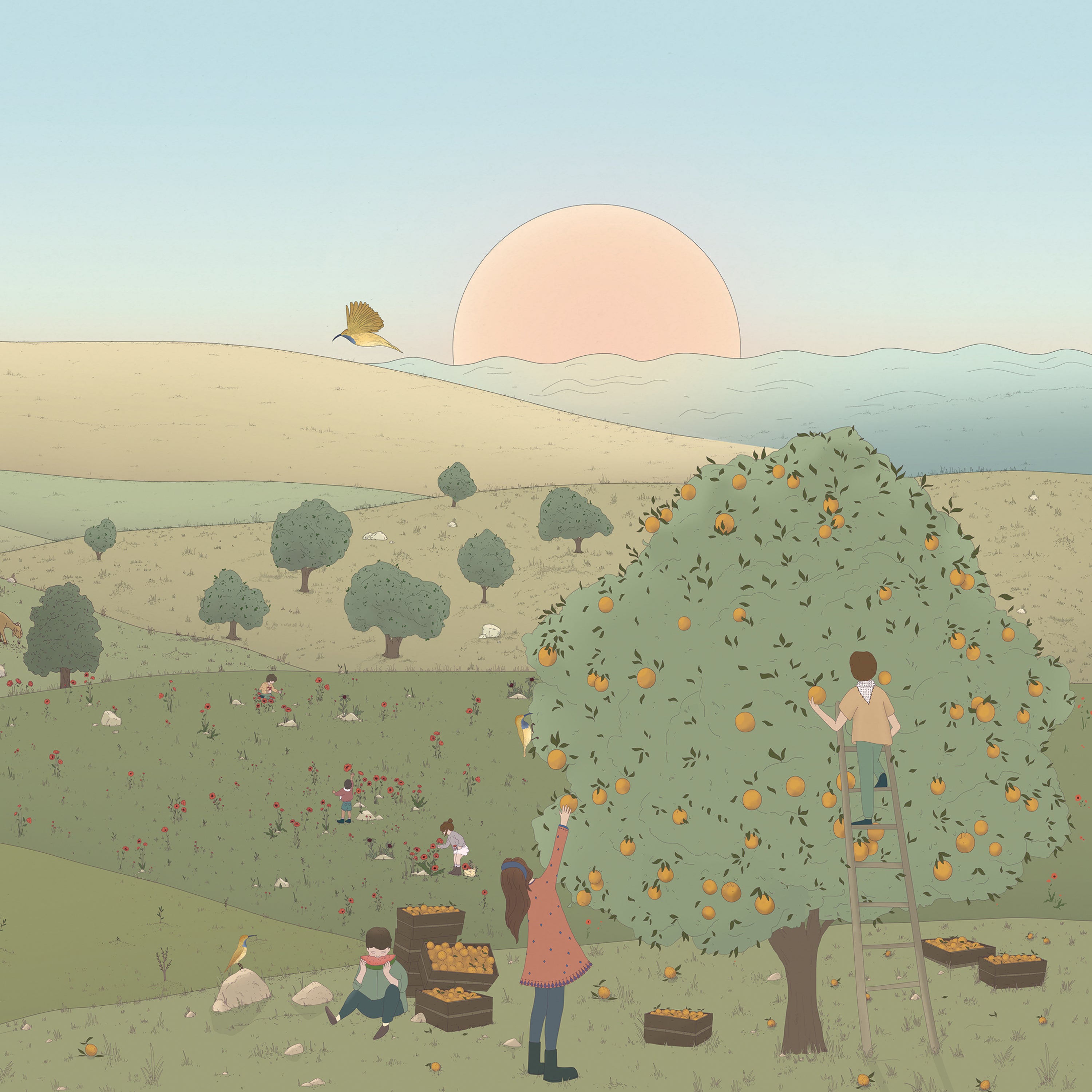 Songs of Harvest